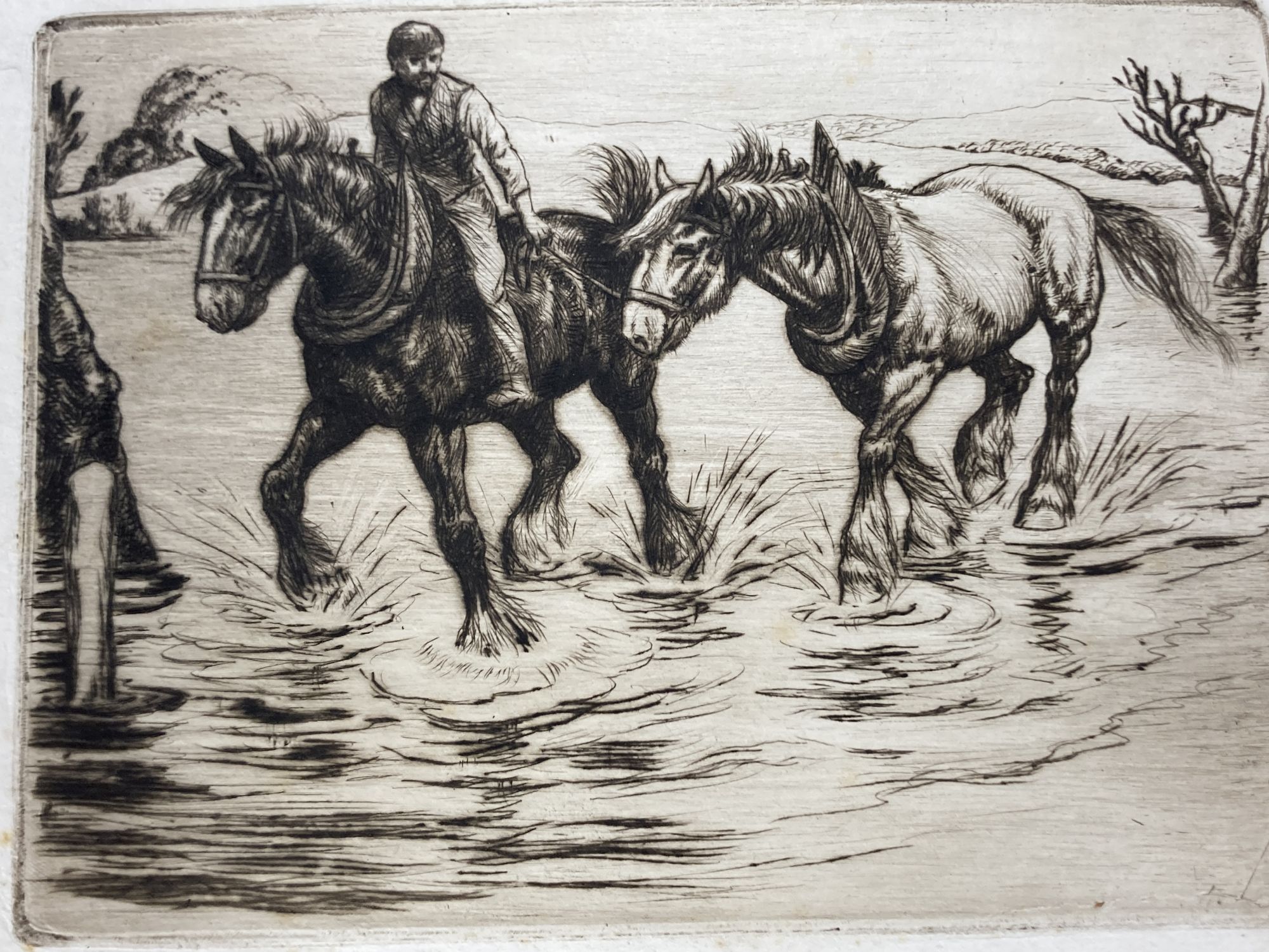 Anton Lock (1893-1979), a group of twenty five etchings of equestrian subjects, approx 19 x 24cm, all unframed